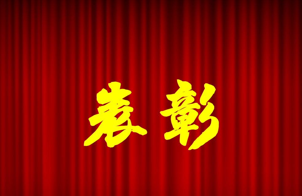 逐光前行、榮耀共鑒 | 公司2024年度表彰來(lái)啦！